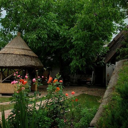 Natura Vendégház Pazmand Exteriér fotografie
